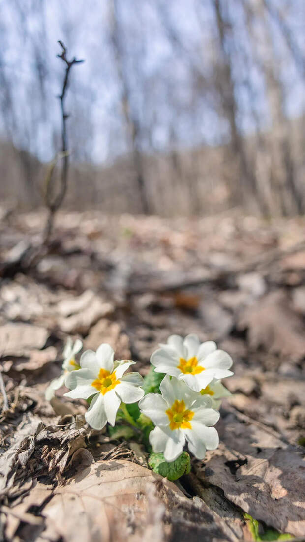 Доброе утро! И хорошего дня!