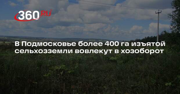 Земли сельхозназначения в Подмосковье выставят на торги