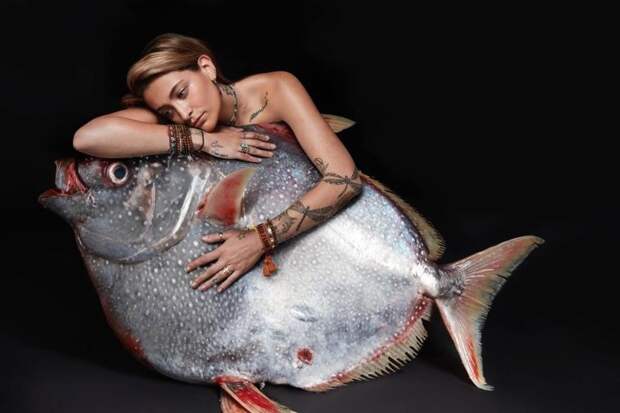 Перис Джексон ynews, голые активисты, животные, знаменитости, интересное, рыбки, фото