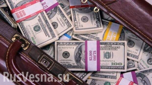 За голову майдауна, лгавшего о «сотнях погибших» в Кемерово, объявлена награда | Русская весна