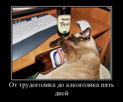 Новые демотиваторы (21 шт)