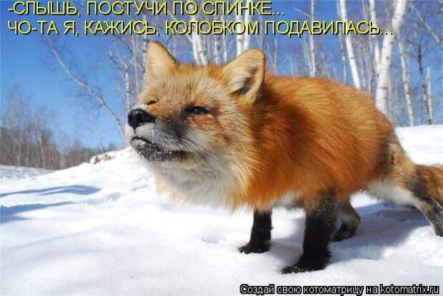 Мысли вслух :)