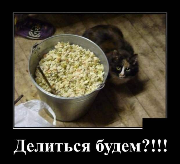 Демотиваторы (30 фото)