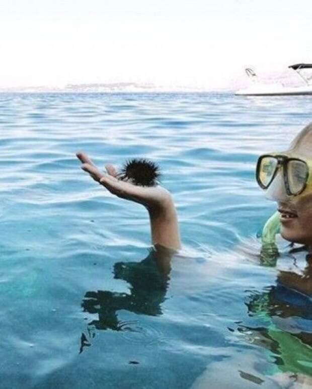 1588697150_330659_1151862.jpg