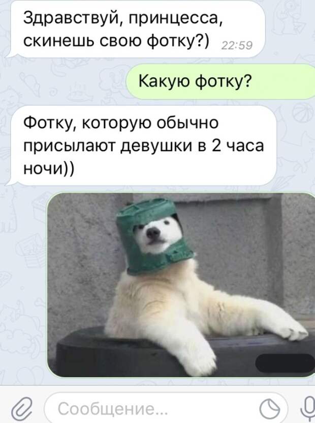 Подборка картинок. Дневной выпуск (25 фото)