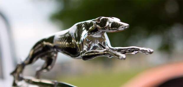 Автомобильные эмблемы на капотах (33 фото)