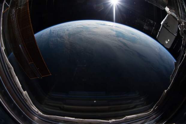 Ученые раскрыли, способны ли бактерии пережить удар астероида