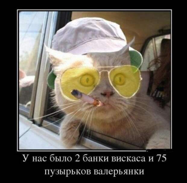 Демотиваторы, "hands made", так сказать..