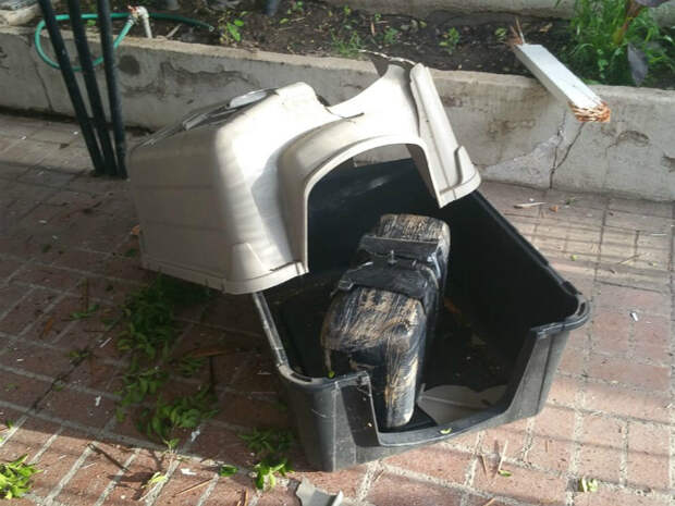 Наркотики с небес.