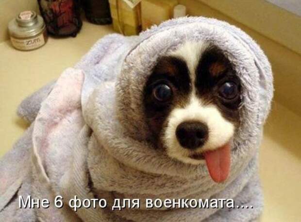 Мысли вслух :)