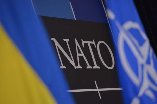 Политолог Дудчак: НАТО воспринимает Украину исключительно как ресурс