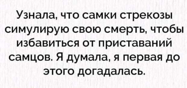 Задорные картинки о девушках, мотивации и котиках 