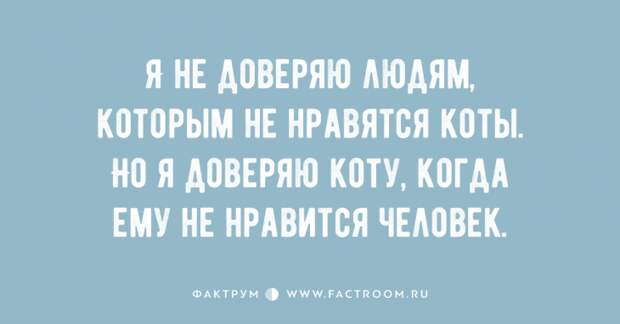 Десятка отменных анекдотов, поднимающая настроение Десятка отменных анекдотов, поднимающая настроение