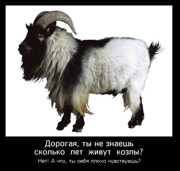 Демотиваторы (30 фото)