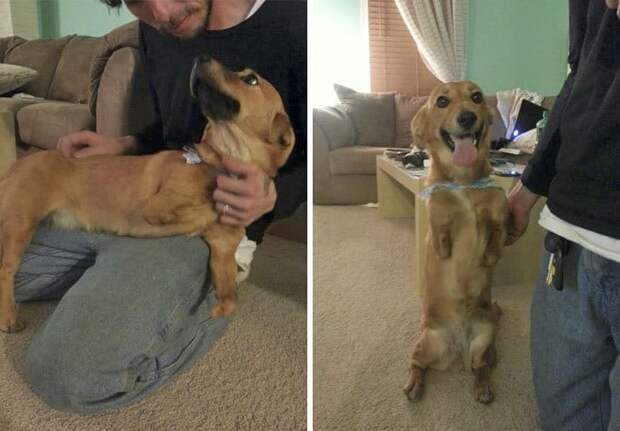 This Is Hope Meeting Her New Dad For The First Time. This Is Probably The Best Day Of Her Life So Far