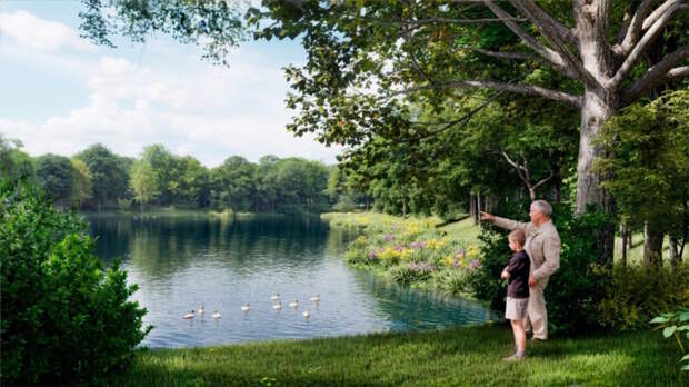 На юго-западе Москвы приведут в порядок Новоясеневский пруд