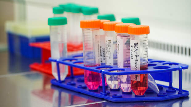 В Санкт-Петербурге зафиксировали два случая заболевания оспой обезьян