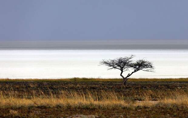 Этоша (Etosha Pan), Намибия