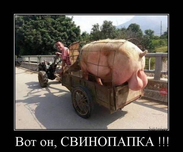 Прикольные демотиваторы на Бугаге (19 шт)