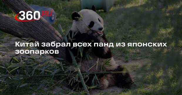 Китай забрал всех панд из японских зоопарков