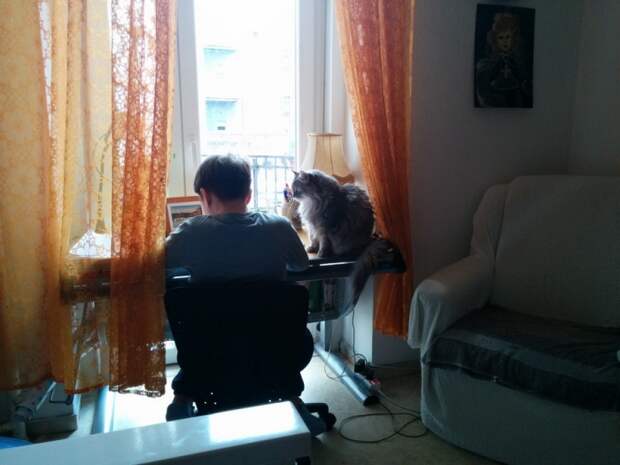 Фотоподборка