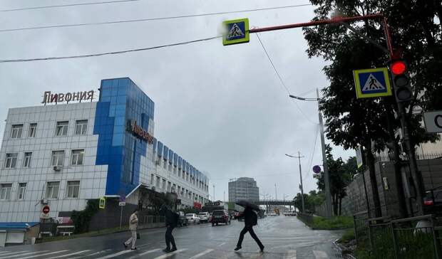 Картина дня в Приморье: обвал в центре Владивостока, удар стихии и прибытие святыни