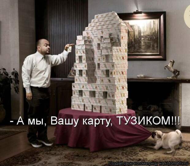 Лучшие котоматрицы недели (50 фото)