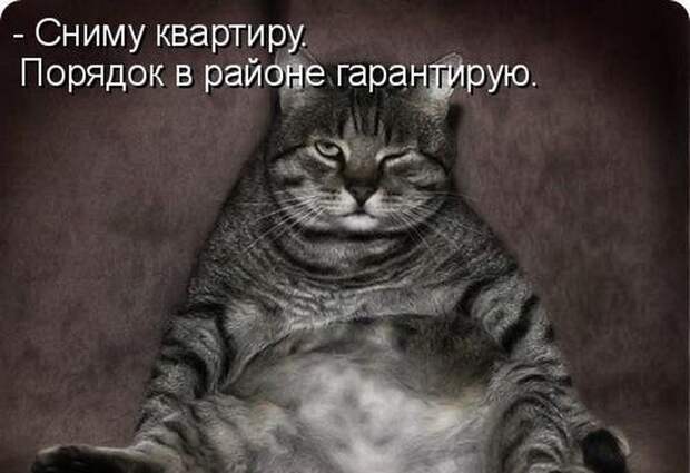 Мысли вслух :)