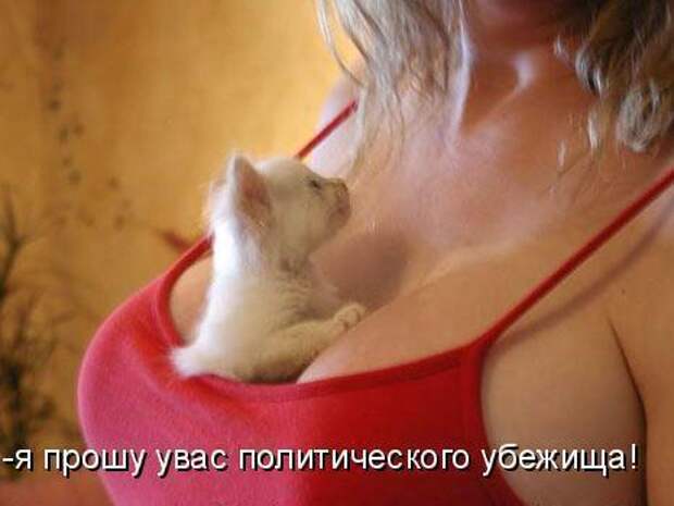 Смешная веселая картинка - "Я прошу у Вас политического убежища!"