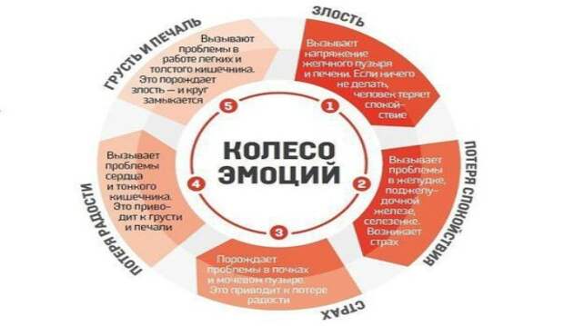 555-1464339826kn84g-520x371