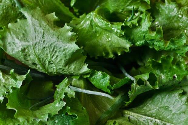Простой и неожиданный список продуктов, которые помогут сохранить здоровье зубов