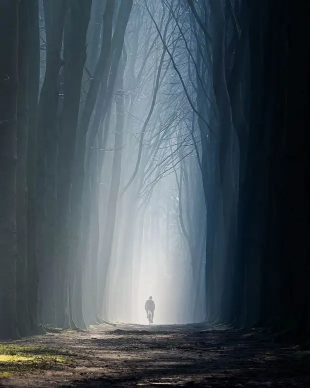 ��������� ����