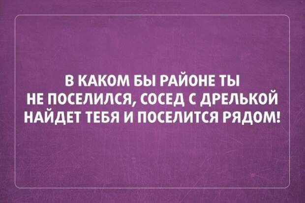 Актуальные цитаты