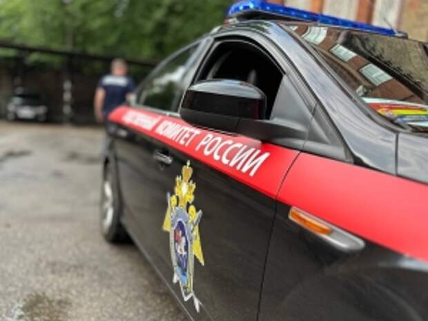 Главе ведомства будет доложено о расследовании противоправных действий в отношении несовершеннолетних в Московской области