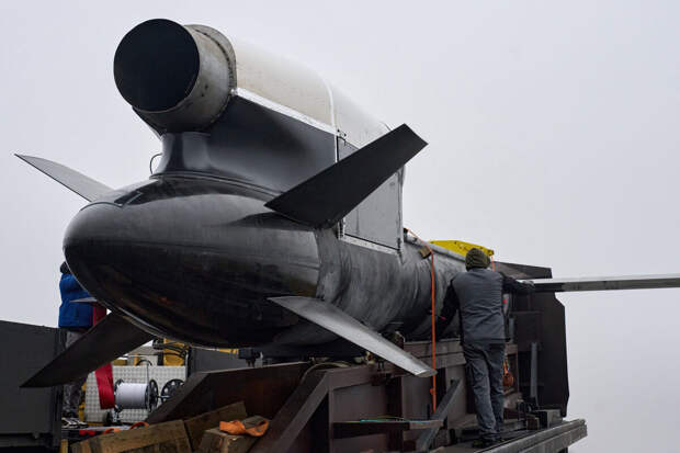 Tagesspiegel: проект украинских ракет "Фламинго" потерпел неудачу