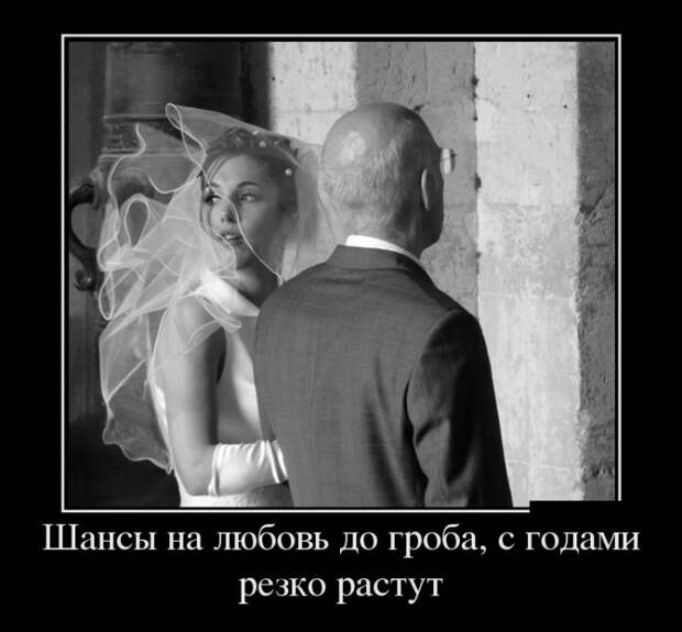 Демотиваторы (30 фото)