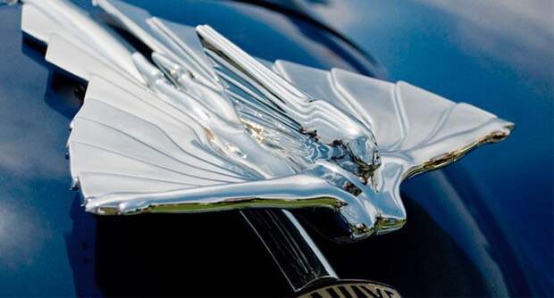 Автомобильные эмблемы на капотах (33 фото)