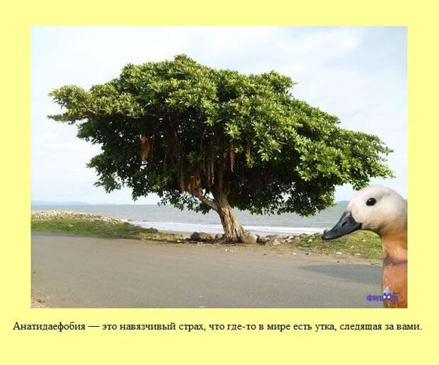 Знаете ли Вы?. Часть 15. (30 фото)