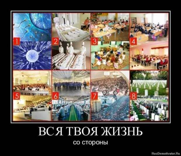 Прикольные демотиваторы с надписями. Подборка chert-poberi-dem-chert-poberi-dem-11530724102020-7 картинка chert-poberi-dem-11530724102020-7