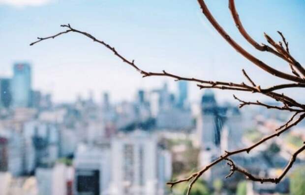 Завтра астраханская погода вновь вспомнит о зиме и вернет морозную ночь, хотя днем оставит градус тепла