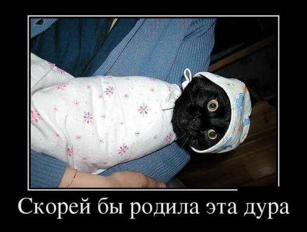 Картинки с подписями