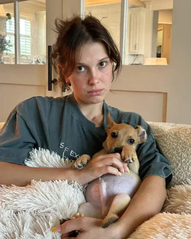 Милли Бобби Браун/Фото: milliebobbybrown/Instagram*