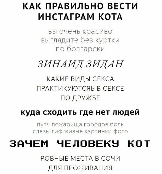 В Яндексе рассказали о самых нелепых запросах поисковой системы этого года