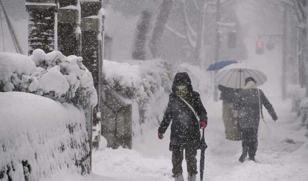 Не менее 17 человек погибли из-за сильных снегопадов в Японии