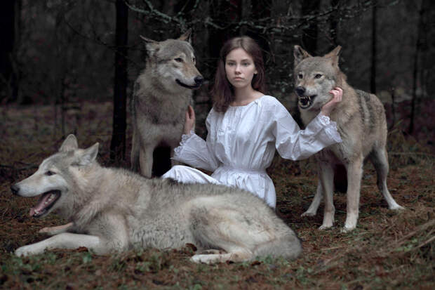 Сказочные фотография с волками