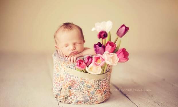 Спящие младенцы (38 фото) Спящие младенцы (38 фото)