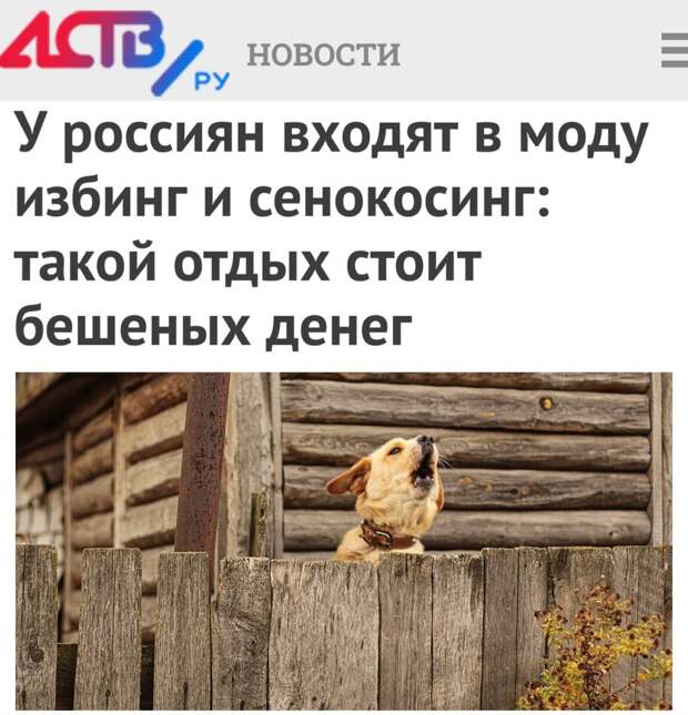 Ссылка выше