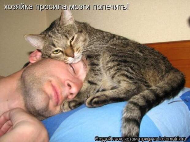 Лучшие котоматрицы недели (28 шт)