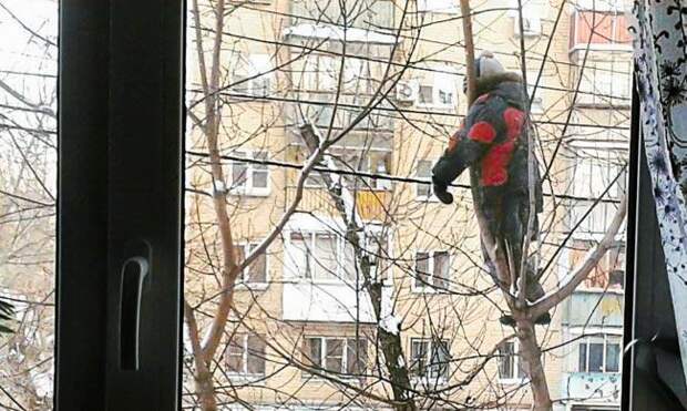 25 доказательств того, что дети — это весело, но иногда они ведут себя очень странно