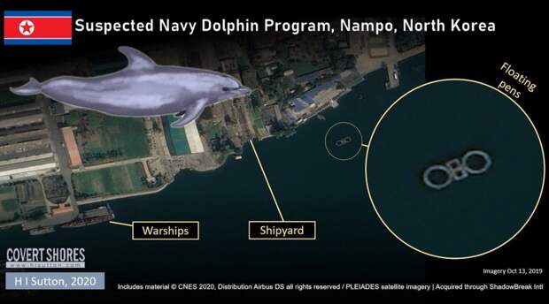 Морская тренировочная база для дельфинов в Нампхо